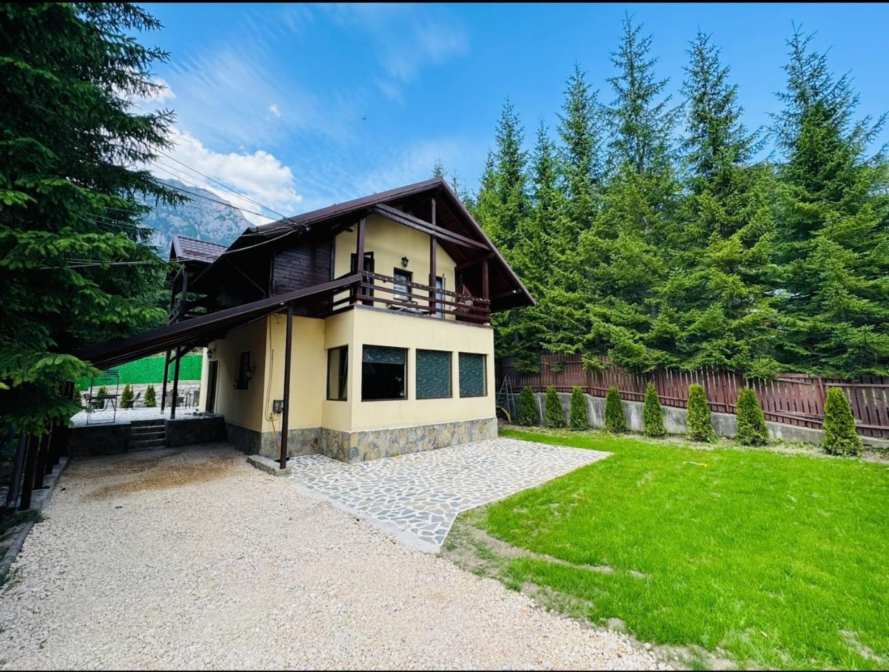 Ollie'S Mountain Chalet Buşteni Екстериор снимка