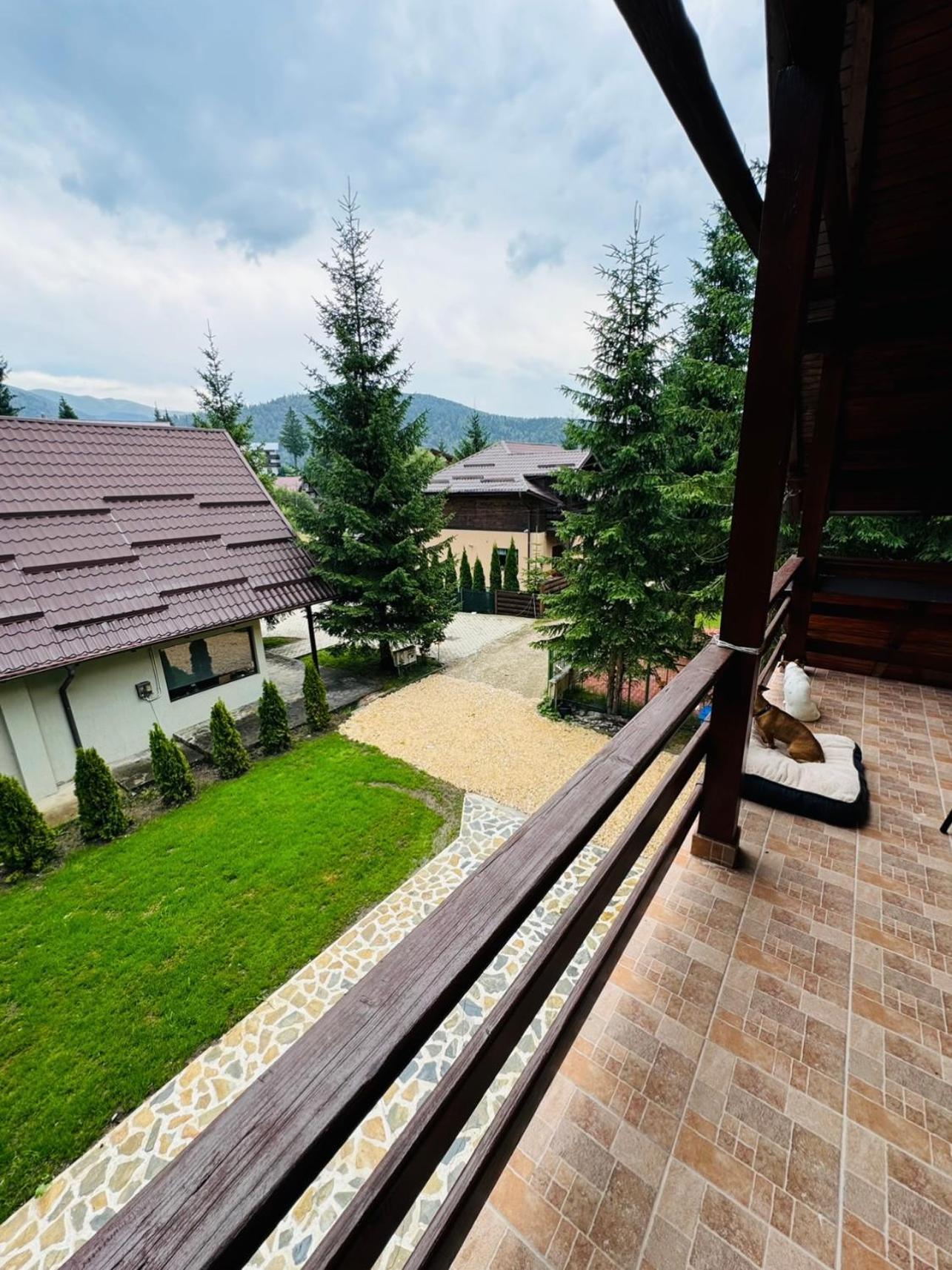 Ollie'S Mountain Chalet Buşteni Екстериор снимка