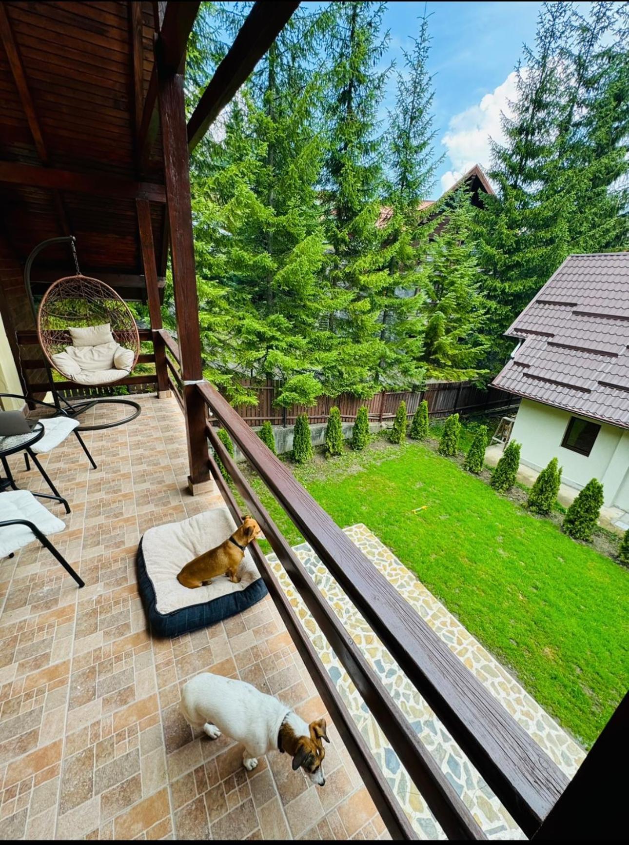 Ollie'S Mountain Chalet Buşteni Екстериор снимка