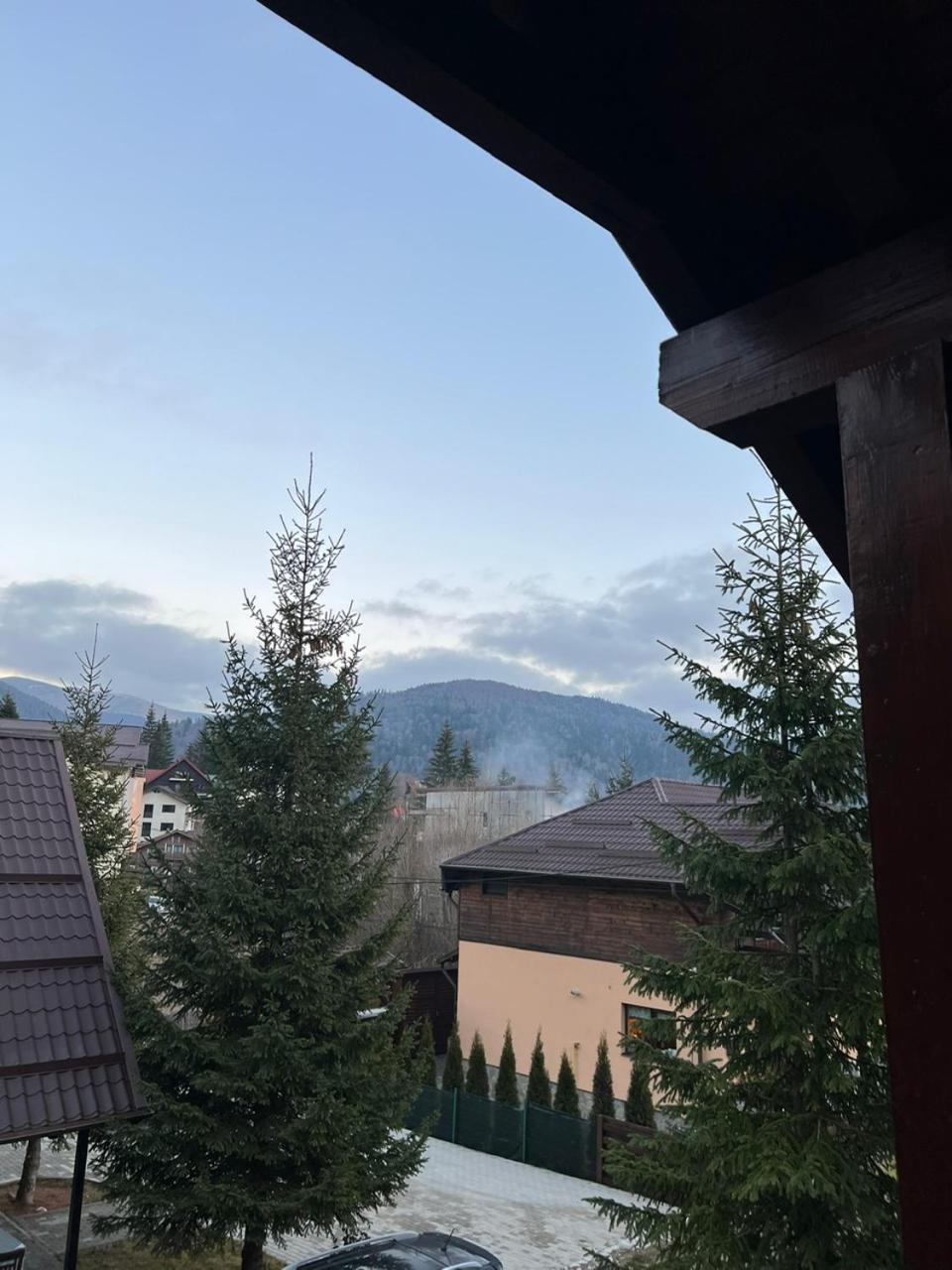 Ollie'S Mountain Chalet Buşteni Екстериор снимка